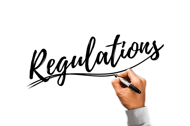 Balancing Regulation with Innovation
