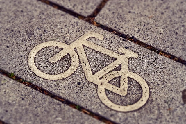 Charting a Path Forward