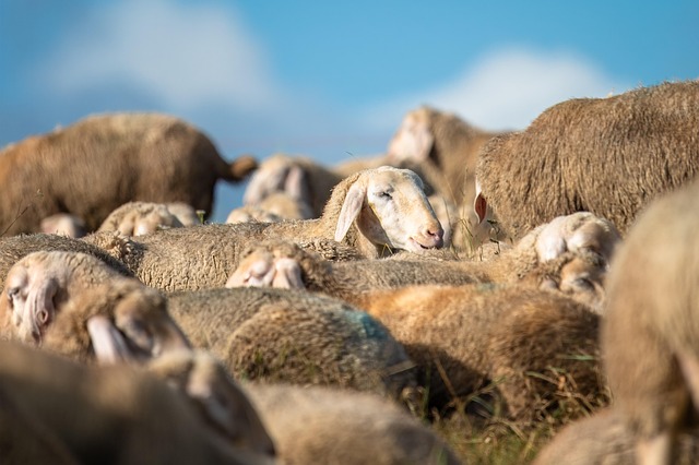Conservative Groups Articulate Opposition