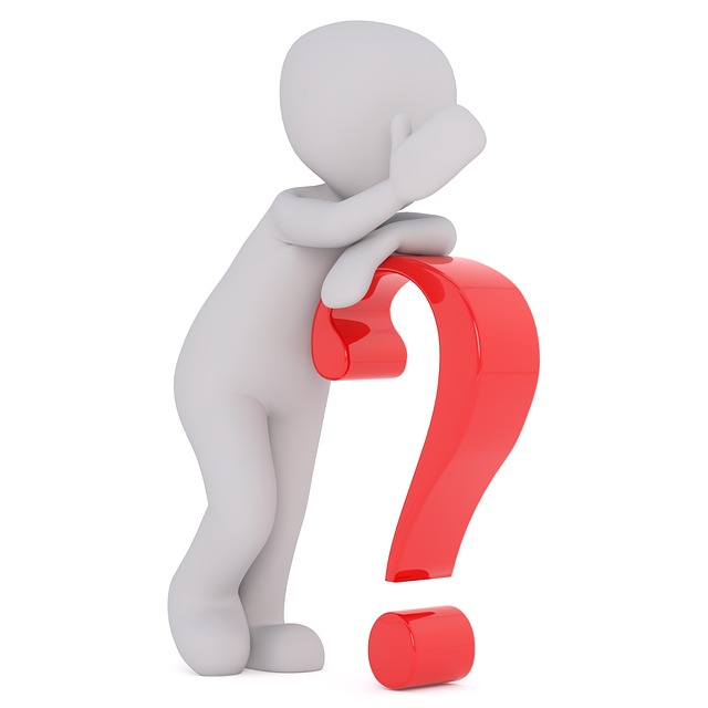 Constitutional Questions at Stake