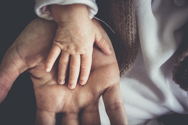 Empowering Parents Through Empowerment Scholarship Accounts