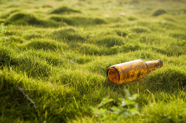 Environmental Concerns and Criticisms