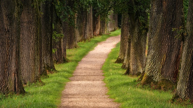 Legislative Path Forward
