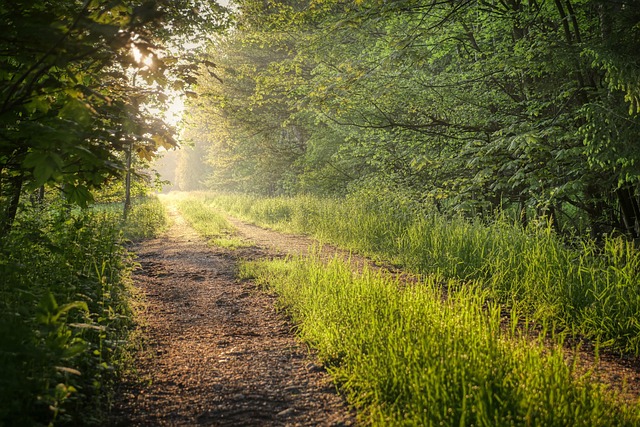 Legislative Path Forward