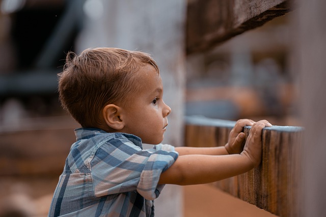 Looking Ahead