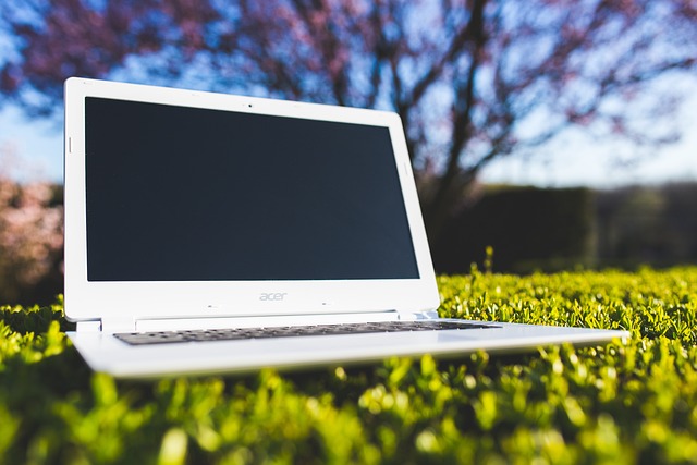 Mastering the Digital Domain: Social Media Dominance
