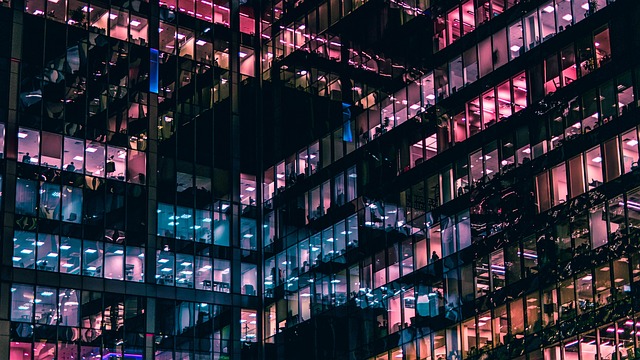 Pivoting to Business and Entrepreneurship
