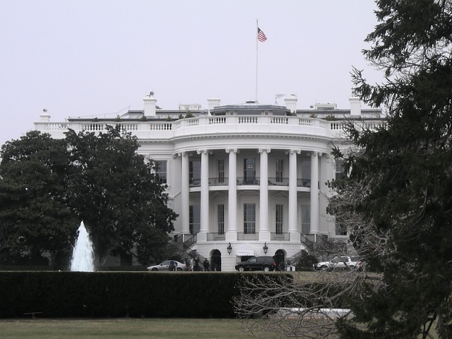 Political Landscape and Future Outlook