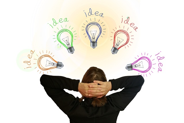 Potential Legal Challenges