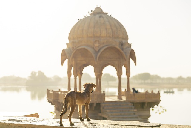 Preserving Our Heritage, Securing Our Future