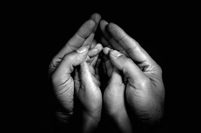 Supporters Emphasize Parental Authority and Partnership
