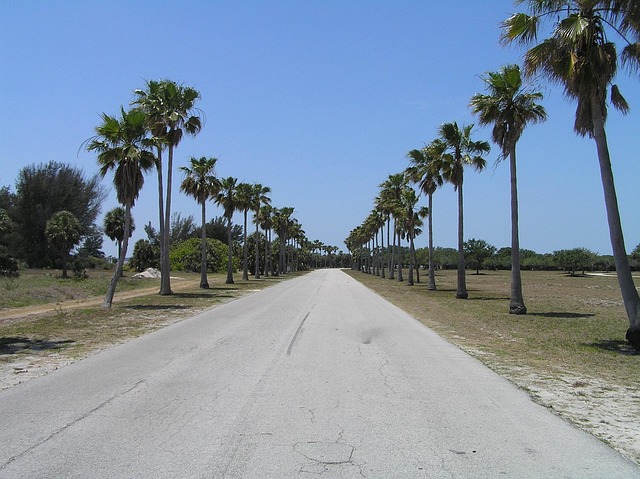 The Road Ahead