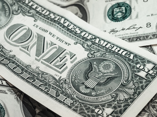 U.S. Funding Under the Microscope