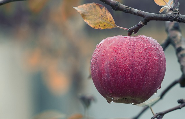 Apple Releases iOS 18.4.1: Key Security Fixes & Stability Boost