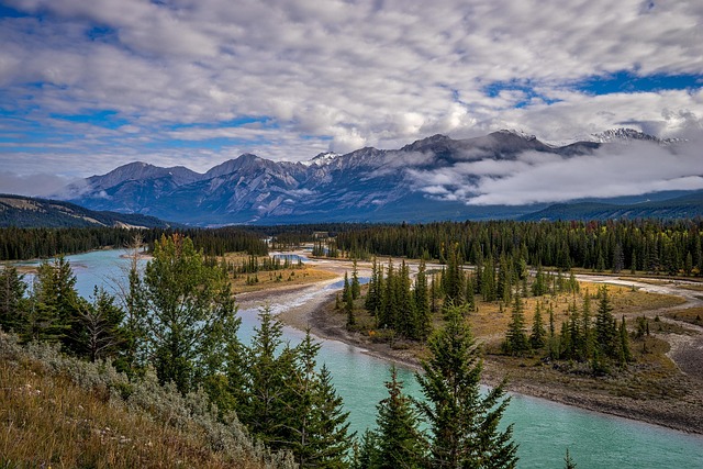 Canada at a Crossroads: Analyzing a Shifting Political Landscape
