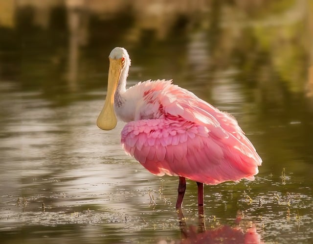 Florida Enacts Bill Restricting Foreign Ownership of Agricultural and Strategic Land