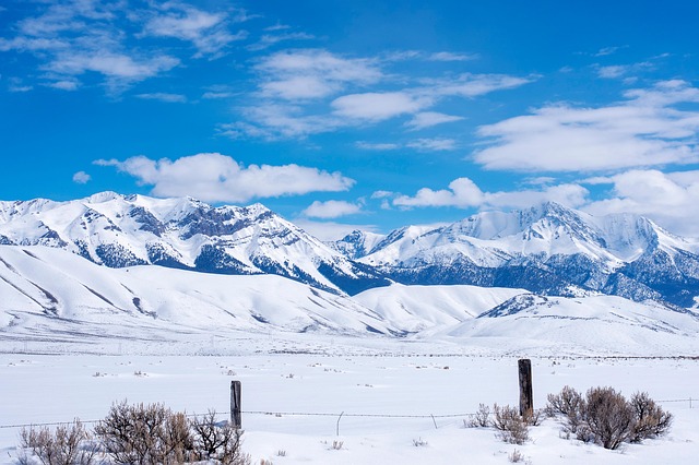 Idaho Enacts Landmark Abortion Ban, Protecting Unborn Lives