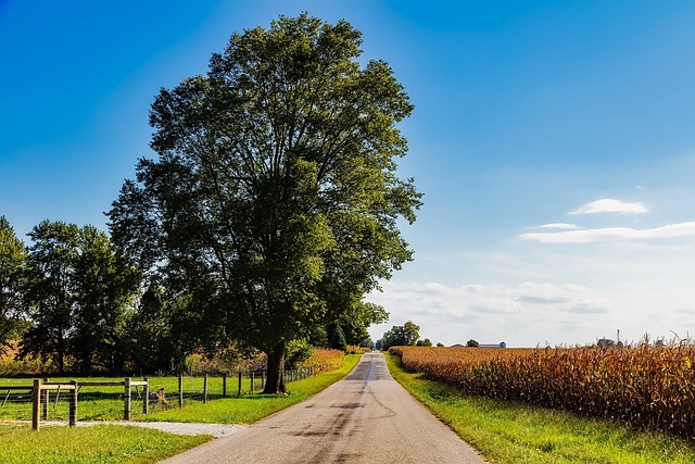Indiana Restricts Public Funding for Gender-Affirming Care