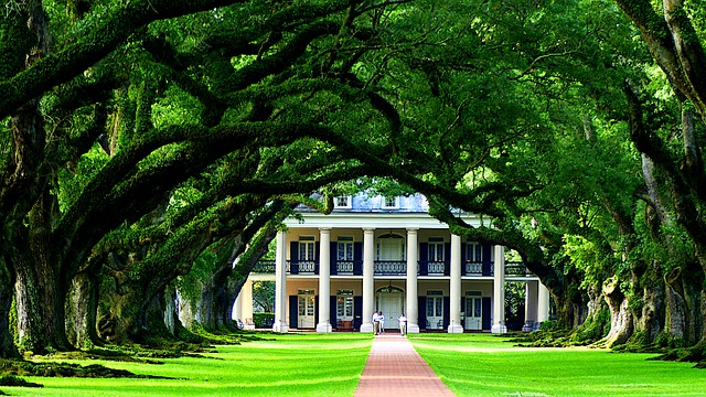 Louisiana Legislature Overrides Veto, Enacting Ban on Gender-Affirming Care for Minors