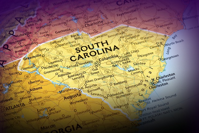 South Carolina Legislature Passes Bill Banning Gender-Affirming Care for Minors