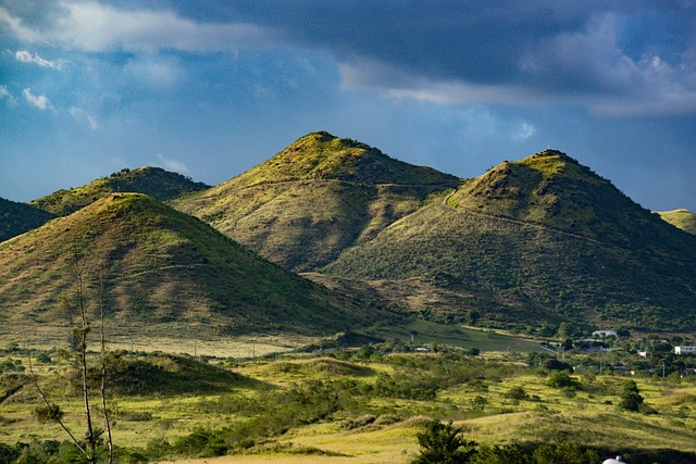 Texas Considers Land Sovereignty: The Debate Over Foreign Ownership Restrictions