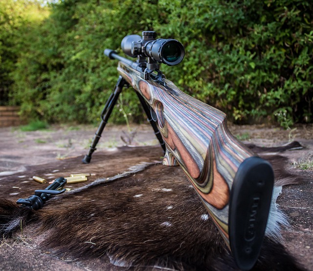 Scope of the Ban and Enforcement