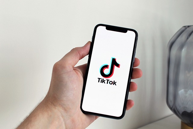 TikTok's Response